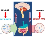 Arch Neurosci